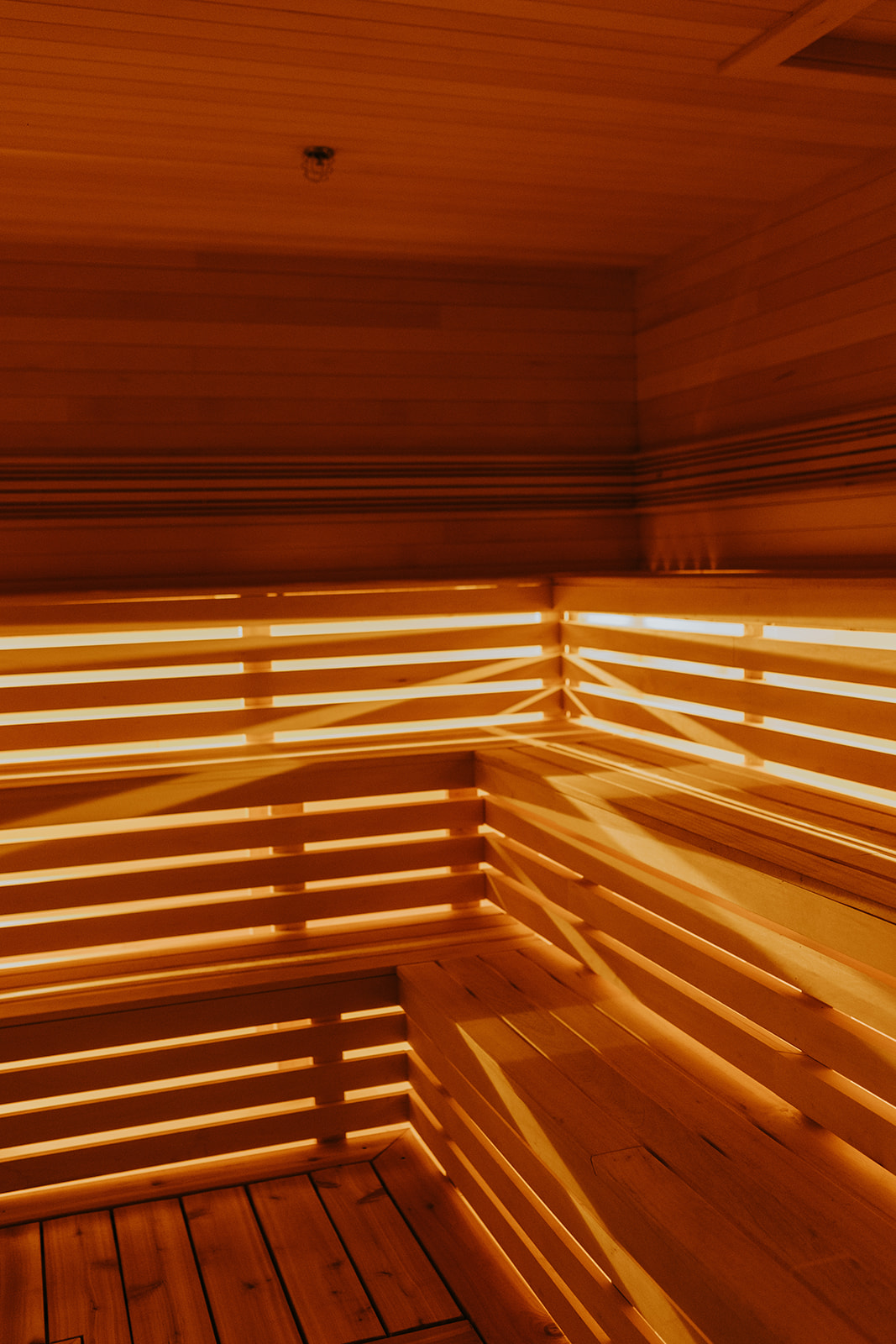 The empty sauna at Evolve